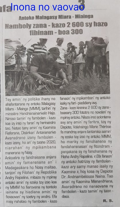 Antoko MMM : Namboly zana-kazo 2 600 sy hazo fihinam-boa 300