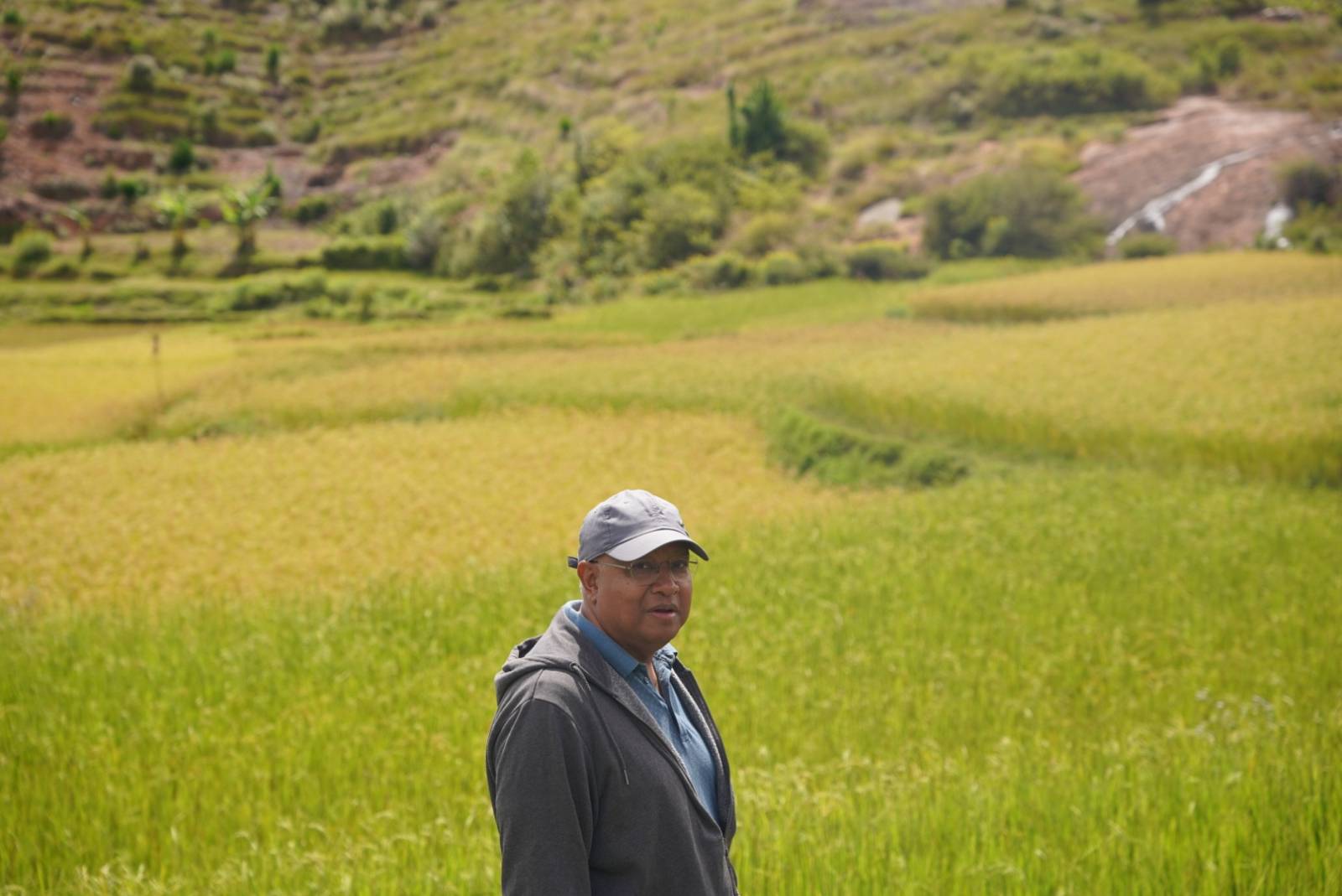 Rapport sur l'importation du riz